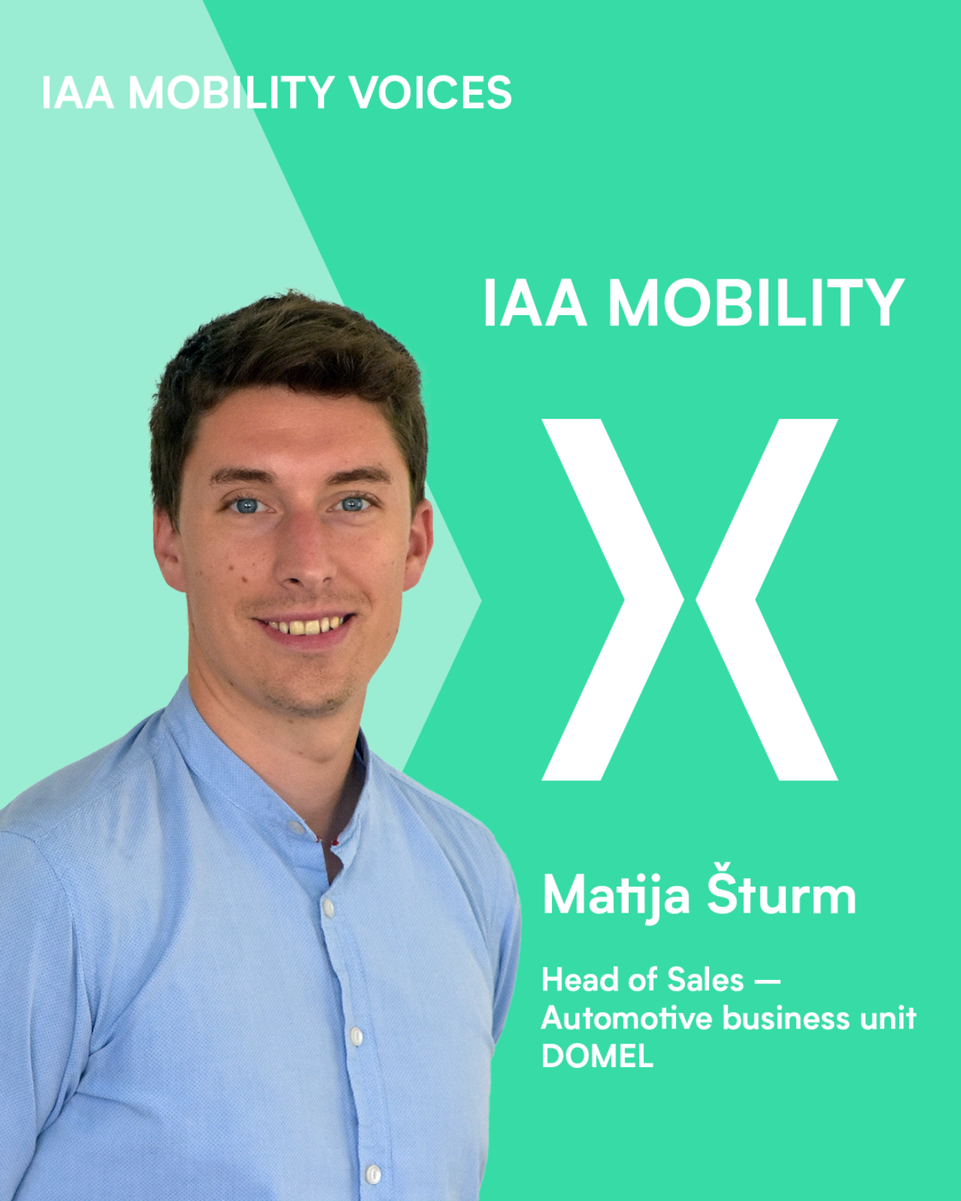 Matija Šturm, Domel