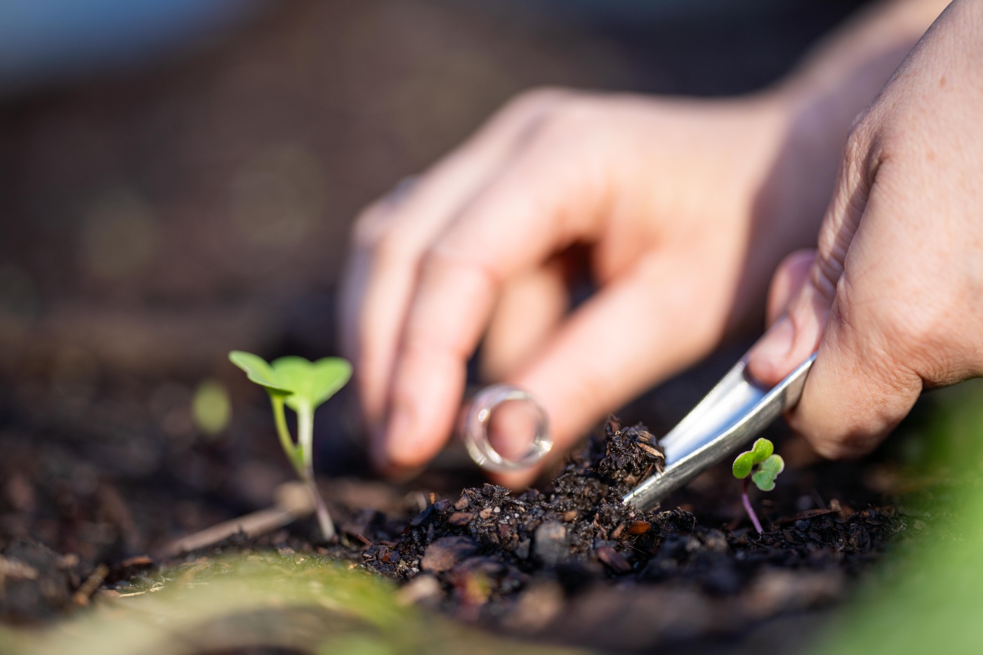 Carbon Farming Germany