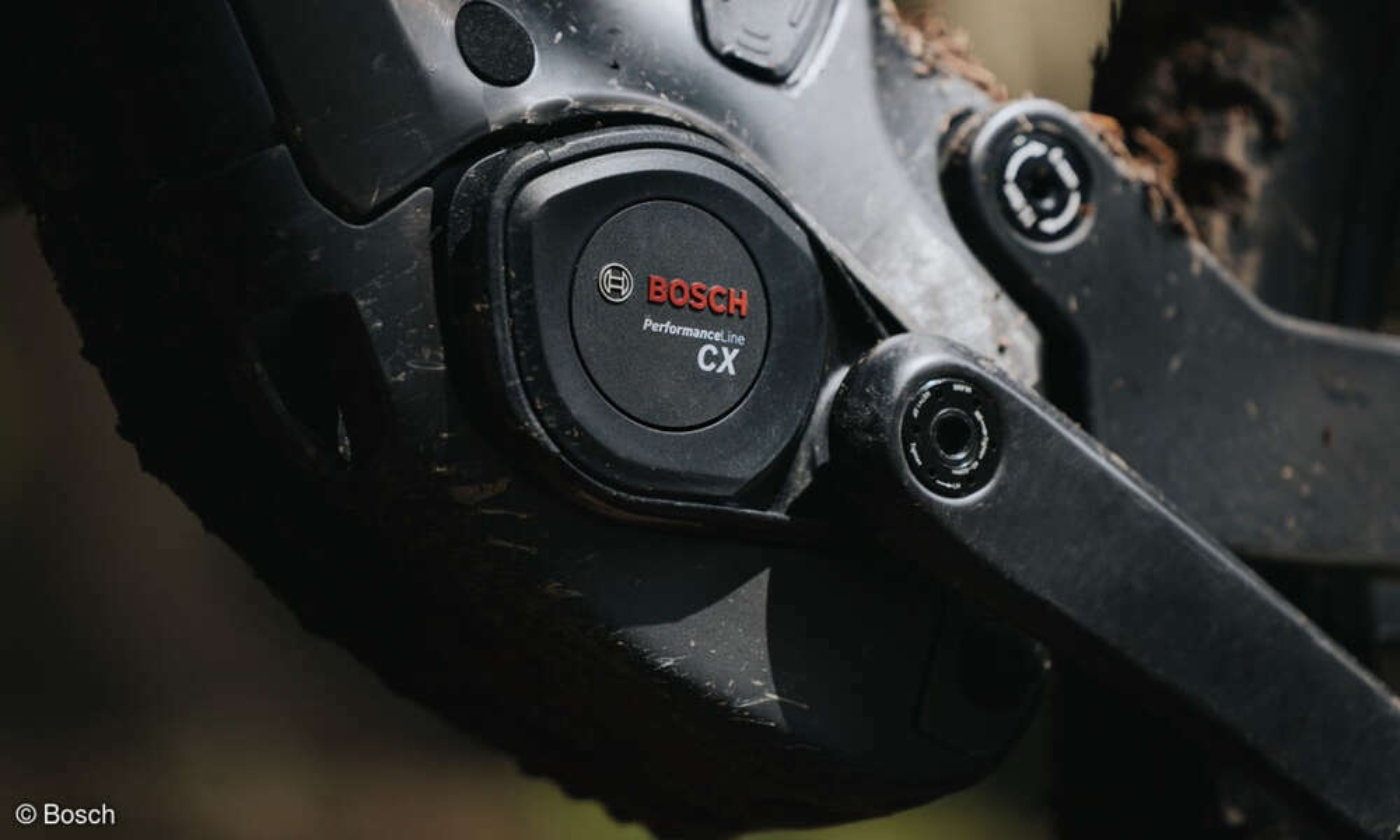Bosch