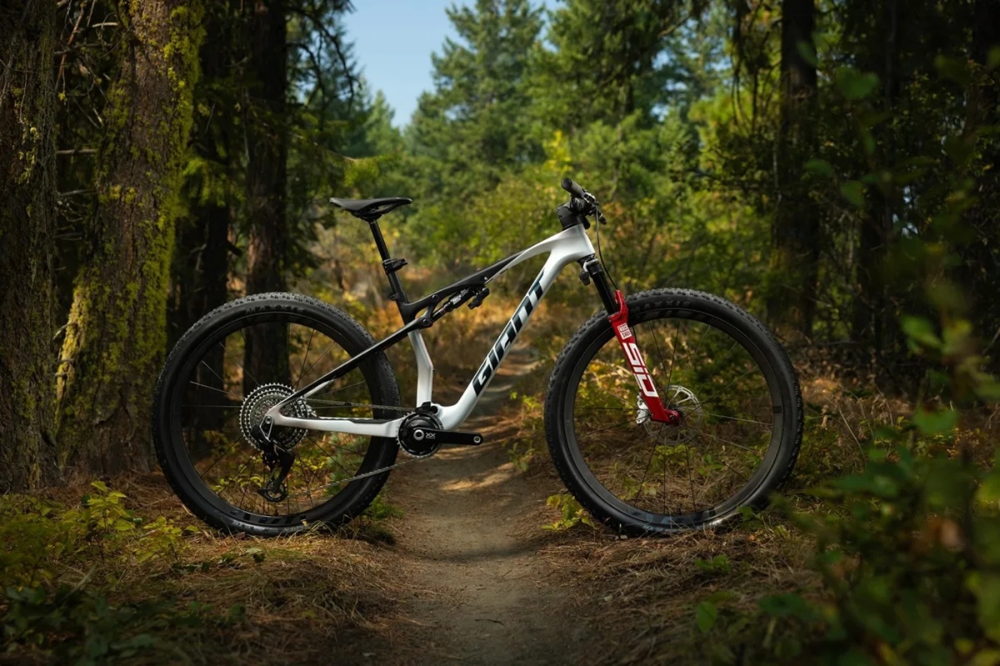 White and black Giant mountain bike with red suspension fork stands on forest trail among trees.